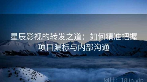 星辰影视的转发之道：如何精准把握项目漏标与内部沟通
