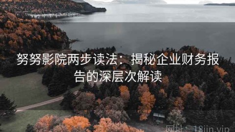 努努影院两步读法：揭秘企业财务报告的深层次解读