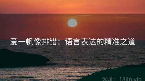 爱一帆像排错：语言表达的精准之道