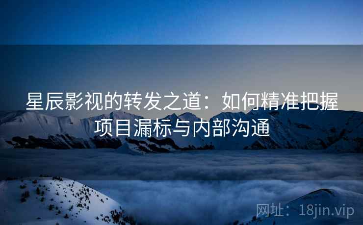 星辰影视的转发之道：如何精准把握项目漏标与内部沟通
