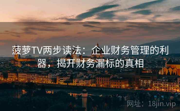 菠萝TV两步读法：企业财务管理的利器，揭开财务漏标的真相