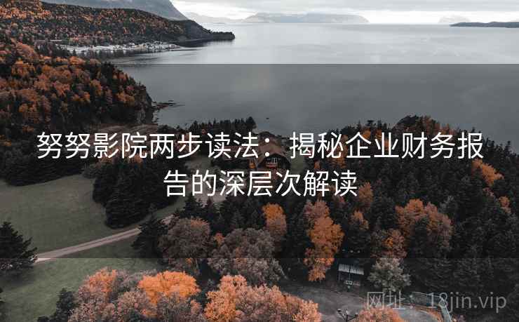 努努影院两步读法：揭秘企业财务报告的深层次解读